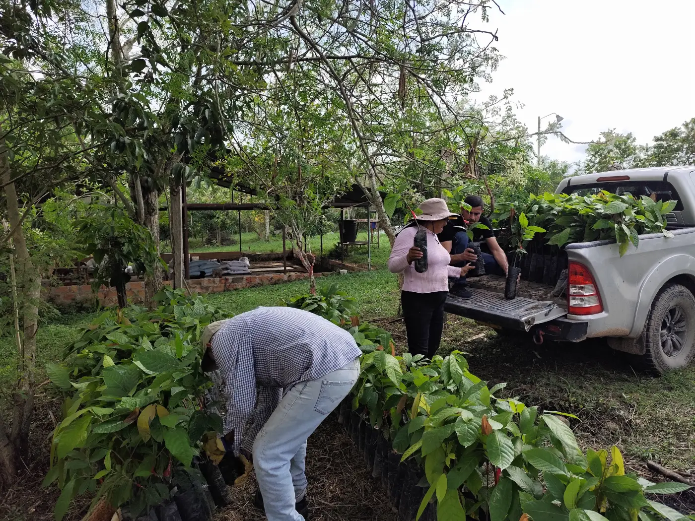 Trabajo en campo relacionado con Servicios Agrícolas